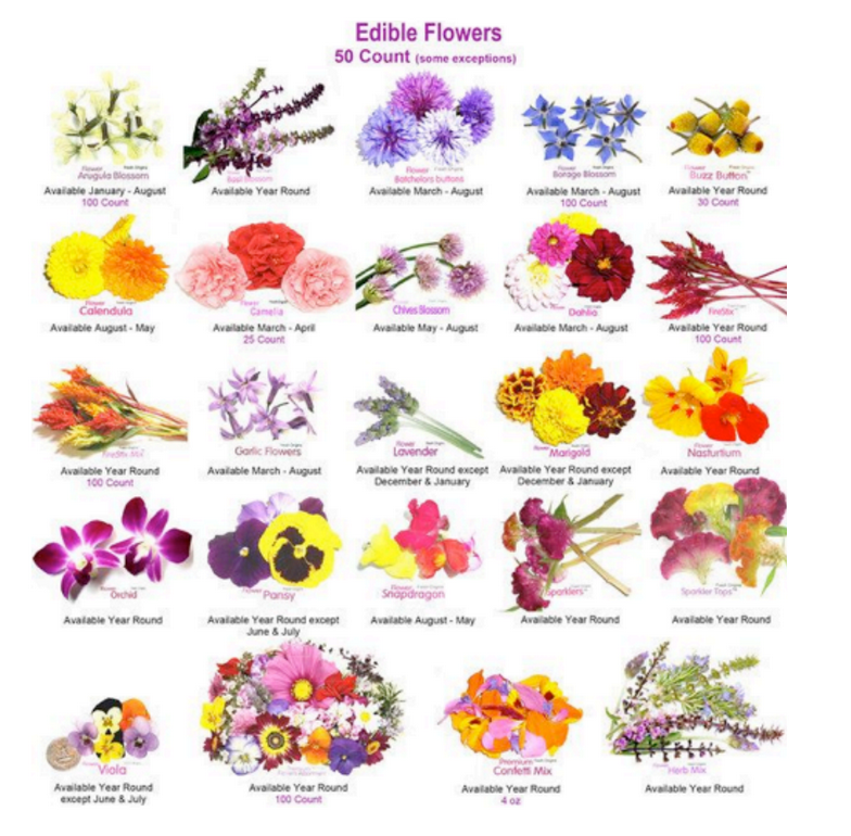 Fiori commestibili: quali fiori si mangiano?